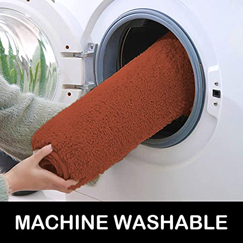 Image of Flooring India Co Newman Bath Mat 2500 GSM Super Soft Microfiber Anti Skid Slip Water Absorbent Bathroom Mats for Bedroom, Home, Door (40X60 CM, Rust)