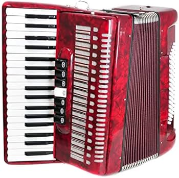 Amazon | PLAYTECH (プレイテック) 鍵盤アコーディオン 60ベース