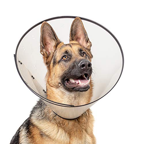 Image of Calm Paws Basics Protective Recovery E-Collar for surgeries for X-Large Dogs
