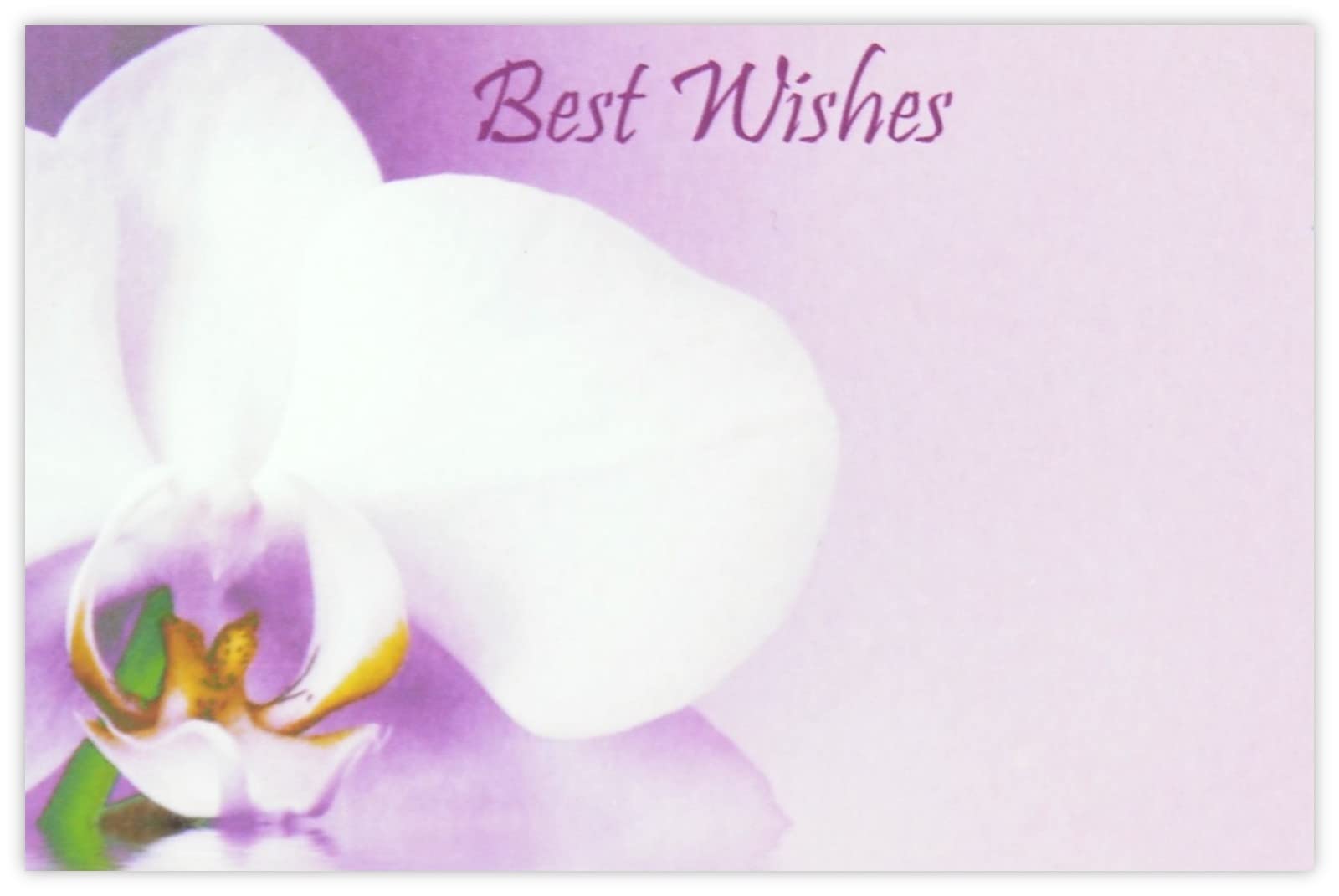 celloexpress Best Wishes (Purple Lily) Flower Message Cards - 60mm x 90mm - Everyday Occasions Florist Card Gift Notes (Pack of 50) — image 1