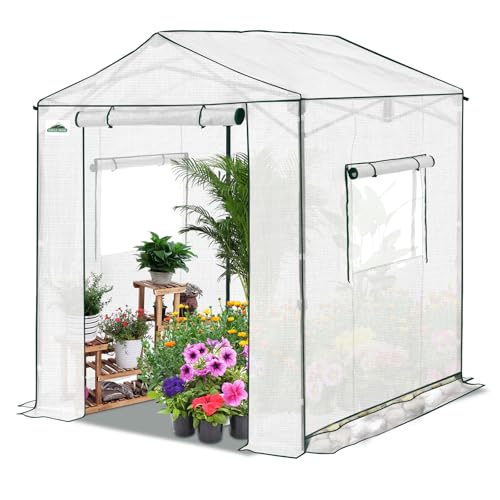 Eagle Peak 6x6 Pop-Up Greenhouse with Gable Roof