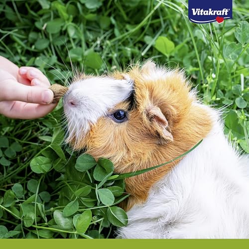 Vitakraft Loftys, Knusperkissen für Nager, Nager Snack, mit Hafer und Timothy Heu, ohne Zusatz von Zucker (10x 100g)