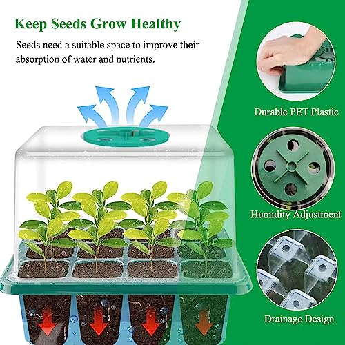 YOOAEFRTY Kits de mudas para iniciantes de sementes, conjunto de 5 unidades de propagador de jardim