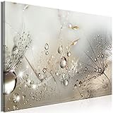 decomonkey Bilder Pusteblume 120x80 cm 1 Teilig Leinwandbilder Bild auf Leinwand Vlies Wandbild Kunstdruck Wanddeko Wand Wohnzimmer Wanddekoration Deko Blumen Natur