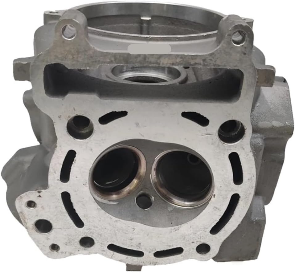 CYLINDER HEAD ASSY Fit For 260cc ATV QUAD GO KART 22401A
