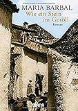  Wie ein Stein im Geröll: Roman