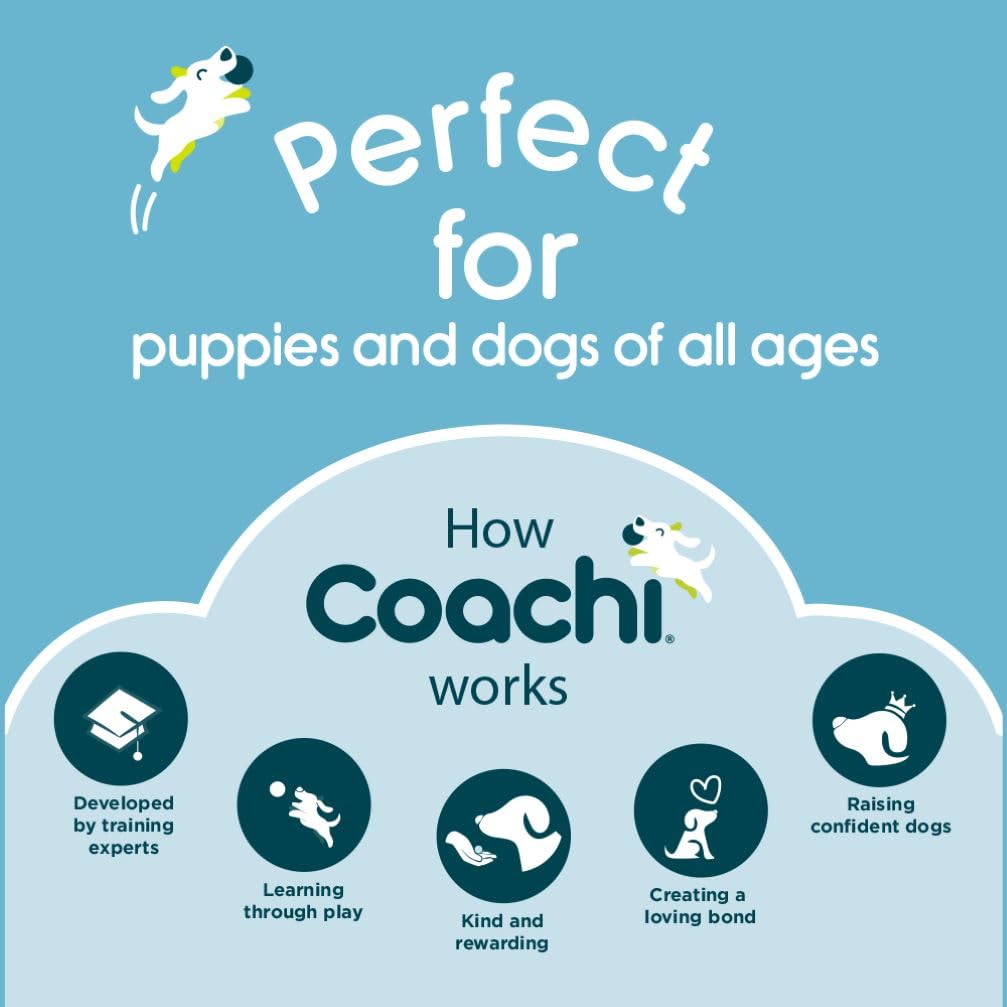 Company of Animals Coachi Antrenman Düdüğü Lacivert (4 paketi)
