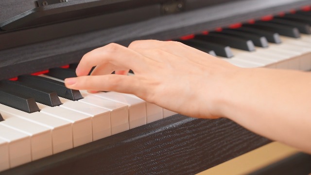 Amazon.com: WENCAI 88 Key Electric Piano Velocity-Sensitive