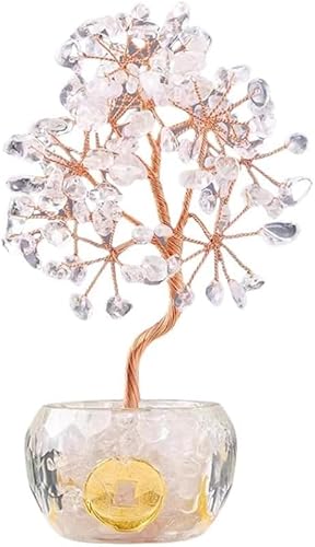 AZIEBAY ̃VgNX^[̋̎ɂ́A12̃RCAzCgNH[cAAWXgA[YNH[cAbhAQ[gAyhbgAmŐȂǂ̓VR΂U΂߂Ă܂Bł́AK^AɐAxANAaAĖےI[i