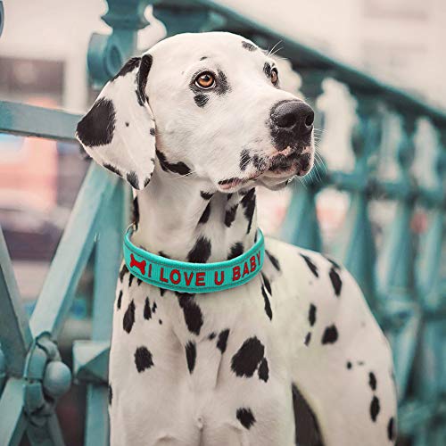 Didog Embroidered Custom Dog Collar, Soft Flannel Padded With Personalized Design, Reflective Collar With Hot Colors For Small Medium Large Dogs, Aqua #TOP6