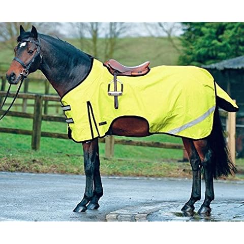 Best On Horse Waterproof Reflective Exercise Sheet Cover