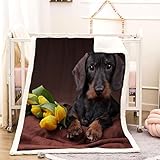 KITUNE Couverture Polaire Epaisse Hiver Teckel pour Bebe Enfant 3D Animal Plaid Canape Chaud et Doux en Flanelle Jeté de Canapé pour Couvre lit 2 Personnes pour Fille Garcon 70x100