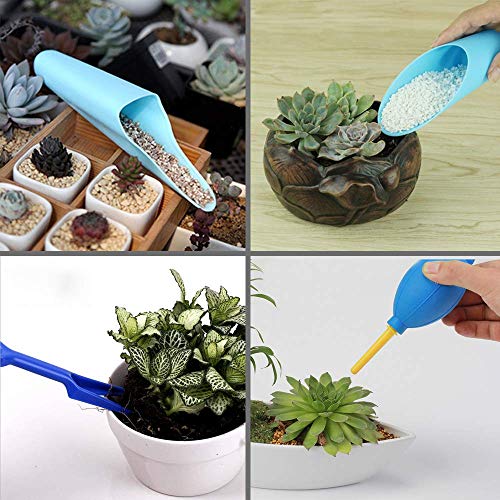 SONGZIMING 15 Pçs Conjunto de Ferramentas de Plantas Suculentas, Mini Kit de Ferramentas de Rega de