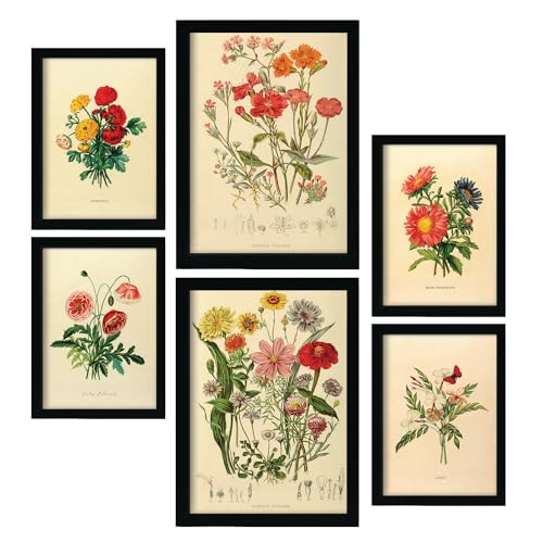 Impressions décoratives esthétiques pour chambre et salon affiches vintage Nacnic A4