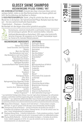SANTE Naturkosmetik Glossy Shine Shampoo Bio-Birkenblattextrakt + 3-Fach Protein Komplex, vegane und feuchtigkeitsspendende Haarpflege für mehr Glanz und Geschmeidigkeit, mit zartem Kokosduft, 250ml