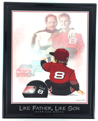 Nascar Dale Earnhardt Sr and Jr Print Artwork Framed F6592A