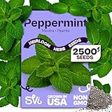 SVI 2500 Peppermint Seeds (Mentha piperita) - Aromatic Perennial Herb, Peppermint for Tea, Culinary Use - Non GMO & Herb Seeds for Outdoor & Indoor Garden, Containers