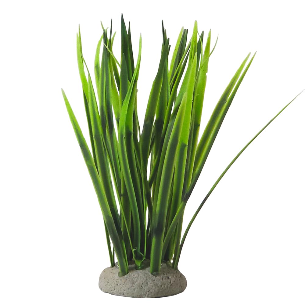 Nobby Aqua Ornaments Vallisneria 6.5 x 6.5 x 16 cm