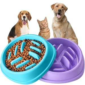Slow Feeder Dog Bowls 2 Pack, Anti-Slip Slow Eating Dog Bowl, Maze Dog Food Bowl, Anti-Choking Puzzle Feeder Dog Bowl, Slow Feeder Bowl for Dogs & Cats, All Breeds Pets (Blue&Purple)