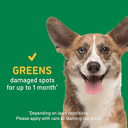 Barkyard Unmark Green Grass Paint And Lawn Spray For Dog Spot Repair That Covers Up To 30 Urine Spots, 24 Fl.oz. 2-Pack #TOP4