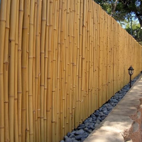 DE-COmmerce Clôture en bambou de haute qualité ATY Nature, partie supérieure fermée, clôture enroulable, pare-vue pour jardin, terrasse, balcon (H x L)...