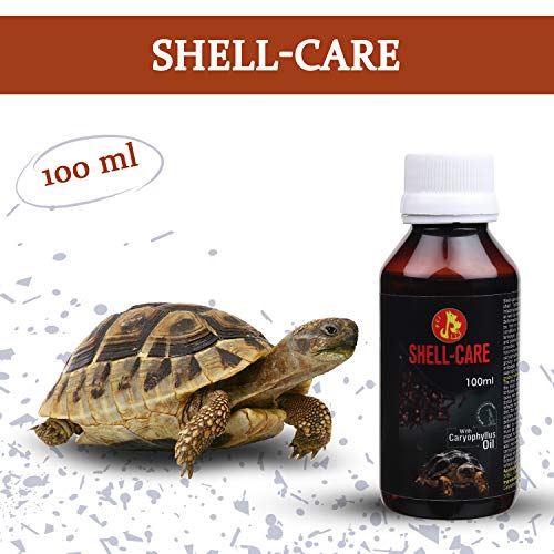 Image of Pet Care International (PCI) Shell Care Provide Best Care for Turtle & Tortoise Shell (100ml)