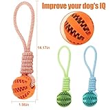 GmwyCzV 3 Stück Hundespielzeug,5cm Hundespielzeug Ball mit Seil Naturkautschuk Ball,Interaktives Hundeball Spielzeug,Kauspielzeug für kleine mittlere große Hunde für Zahnpflege (Blau Orange Grün)