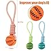 GmwyCzV 3 Stück Hundespielzeug,5cm Hundespielzeug Ball mit Seil Naturkautschuk Ball,Interaktives Hundeball Spielzeug,Kauspielzeug für kleine mittlere große Hunde für Zahnpflege (Blau Orange Grün)