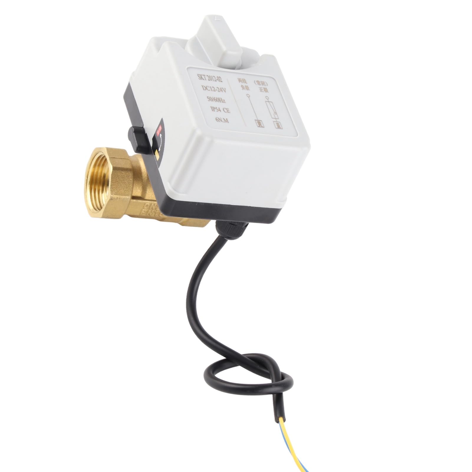 Valvola a sfera motorizzata in ottone 2 vie normalmente chiusa 12V 24V DC Smart Water Valve per impianti idraulici industriali Costruzione ABS DN25