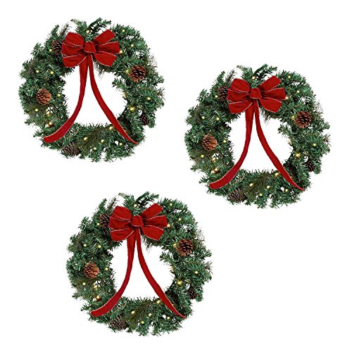 Nantucket 22 inch Lighted Christmas Wreaths - 3 Wreath Set