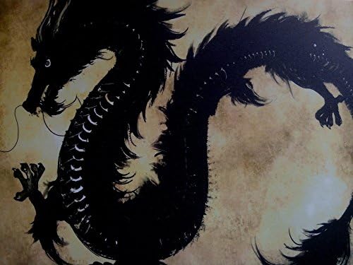 NiceLook Black Sea Horse Design Laptop Skin