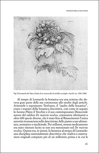 Uomini Che Amano Le Piante - 6