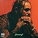 ROLLON Post Malone poster wall decoration photo print 24x24 inches