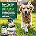 Petnc Hip & Joint Health Supplement for Dogs (90 Chews), Glucosamine Chondroitin MSM Dog Chews with Hyaluronic Acid, Liver Flavored Bone & Joint Support Supplement, For All Breeds