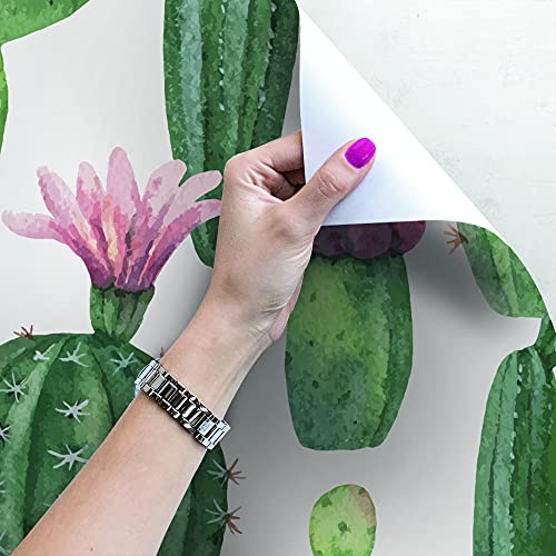 Papier Peint Cacti Désert Mexicain Muralo Décoration Salon 250x104