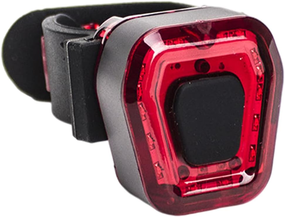 PEWETE 国産品 LEDリア自転車ライトライトUSB充電式ナイトランニング 