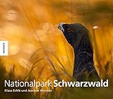 Nationalpark Schwarzwald - Klaus Echle, Joachim Wimmer 