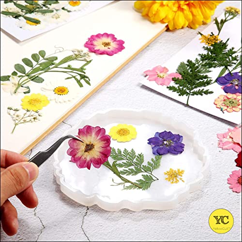 Image of YellowCult Natural Real Dried & Pressed Flowers for Art Craft - Mixed, Multicolor for Soap, Candle, Scrapbooking, DIY, Resin Jewelry, Pendant - [Luxury White 18x13 cm Sheets]