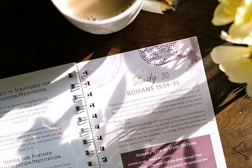 Romans: An All-In-One Study on Salvation and New Life (The Bible Study Collective) - image 5