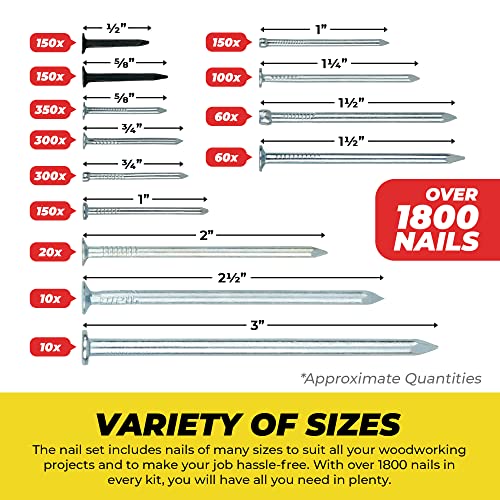 Top Quality Nail Assortment Kit – Over A 1800 Multipurpose Hardware Nails - 11 Different Sizes – Non Bendable & Sturdy - Compact Organized Box #TOP4