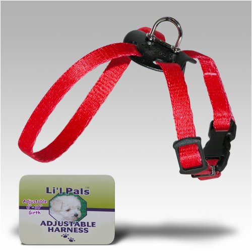 plexiglass hamster cage