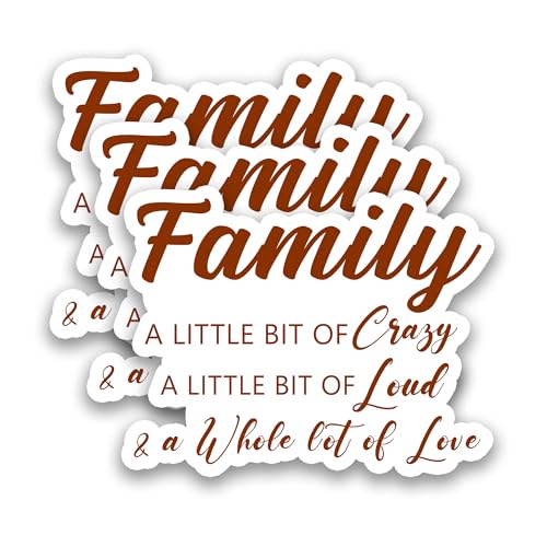 (3Pcs) Funny Family A Little Bit of Crazy Sticker Family Inspirational Vinyl Decals Meaningful Birthday Gift for Mom Dad Brother Sister Grandma, Waterproof Stickers for Laptop Water Bottle, 3' x 2.3 '