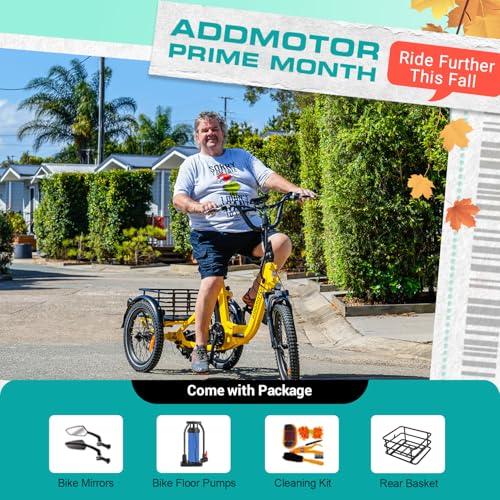 ADDMOTOR CITYTRI E-310 Electric Trike Reviews