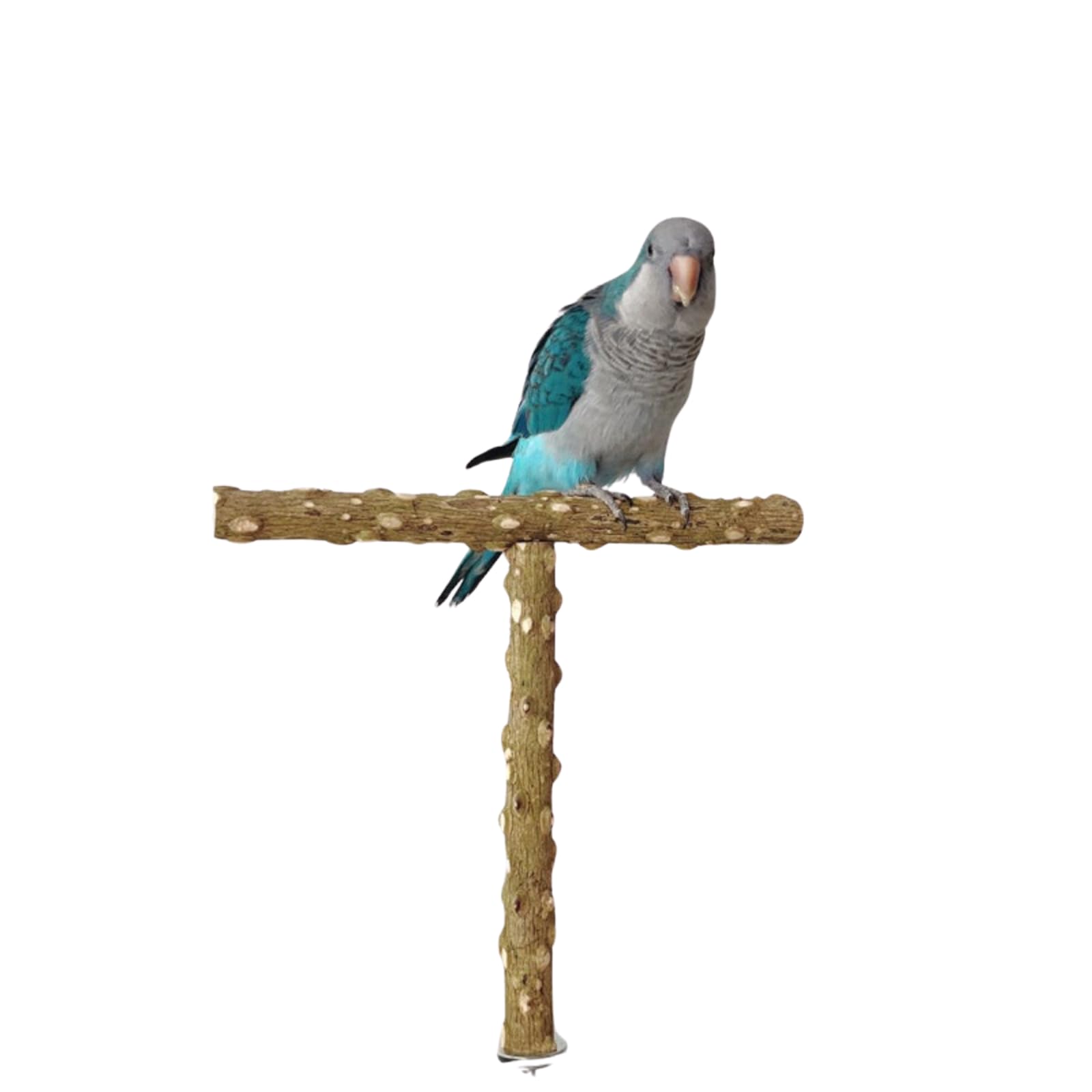 T-Shaped Bird Stand Toy Bird Stand Branches Parakeet Perch Parakeet Cage Accessories Parrot Tree Stand Bird Accessories Parrot Stand Bird Tree Stand Bird Swing (M)