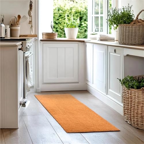 Paillasson grattoir en coco marron brosse à bottes 75x44cm
