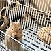 Angoily 2St Käfigteiler für Hamster Hasenzubehör Kaninchenzaun maschendrahtzaun Hamsterkäfig Drahtbrett Käfig-Trenngitter Kleine Tiere Isolationsplatine Kaninchenhaus Hühnerdraht Baby Weiß