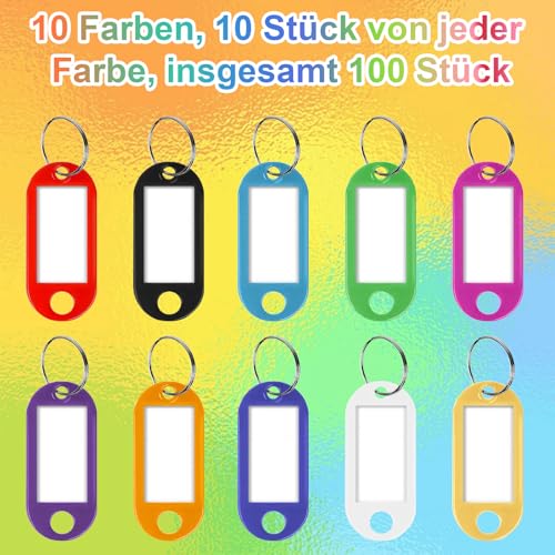 100 Stück Schlüsselanhänger,Kunststoff Schlüsselanhänger mit Etiketten,Schlüsselschilder Beschriftbar mit Schlüsselringen für Schlüssel, Zuhause, Büros, Pet ID, Koffer,Gepäckanhänger(10 Farben)