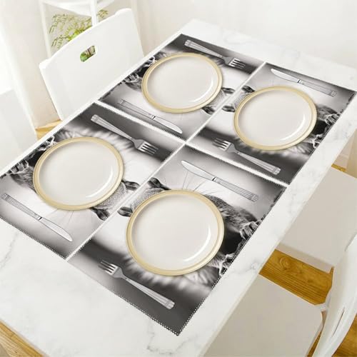 Set de table écureuil lot de 6 en toile gris clair premium - 6