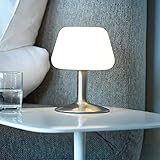 Maße: Ø150mm,Höhe ca200mm Paul Neuhaus LED-Touch-Tischleuchte Till Silber - (4078-55)