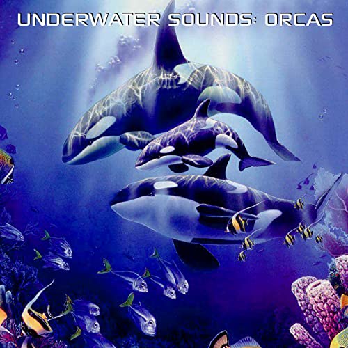 Underwater Sounds: Orcas (feat. Discovery Nature Sound, Discovery Soundscapes & Discovery White Noise)